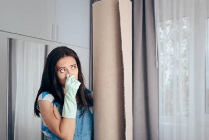 How to Get Rid of Indoor Odours and Bad Smells