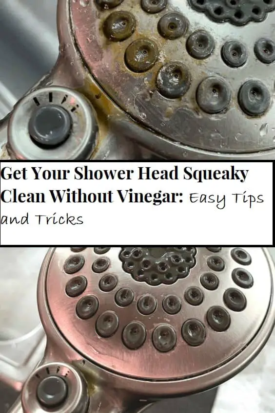 How to Clean Shower Head Without Vinegar