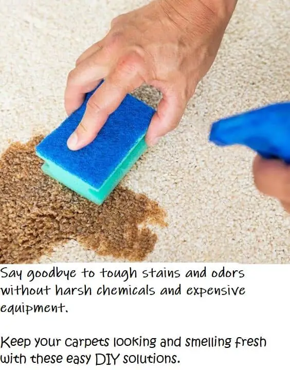 Home Remedies For Cleaning Carpets