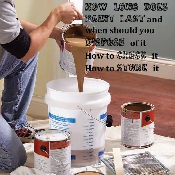 How Long Paint Lasts in a Can